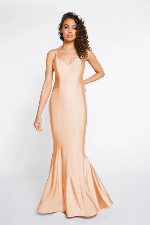 Bari Jay Bridesmaid Dress 2254 - Image 4