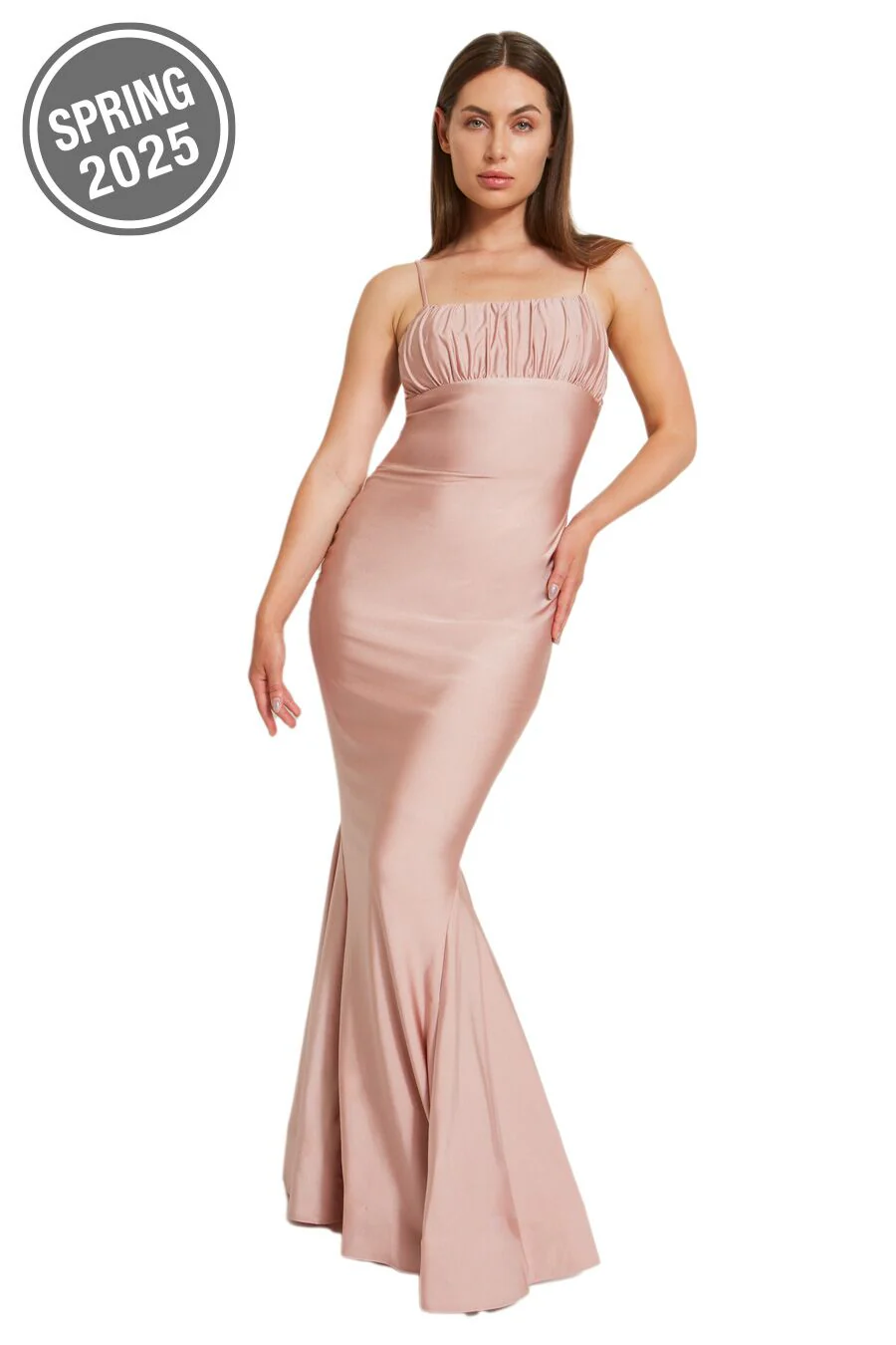 Bari Jay Bridesmaid Dress 2510